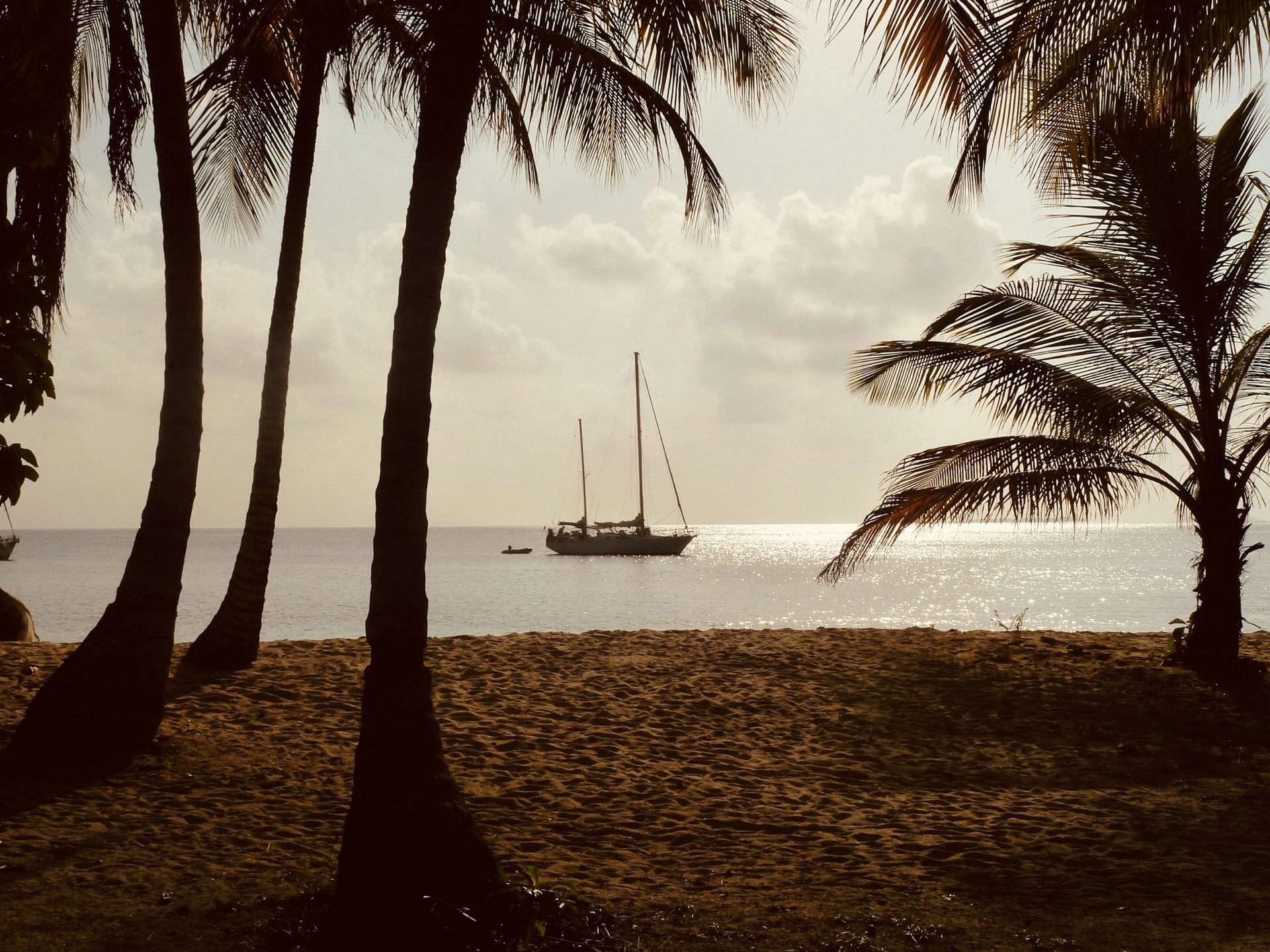 Palm-lined Panama coast at sunset